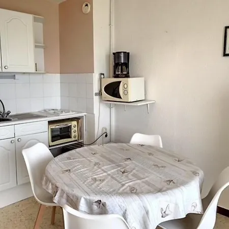 Cosy Avec Balcon A Balaruc-les-bains, Animaux Admis - Fr-1-503-82 Apartament Balaruc-les-Bains